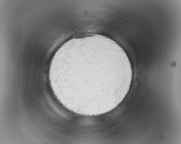 X0000113070250200910091214
