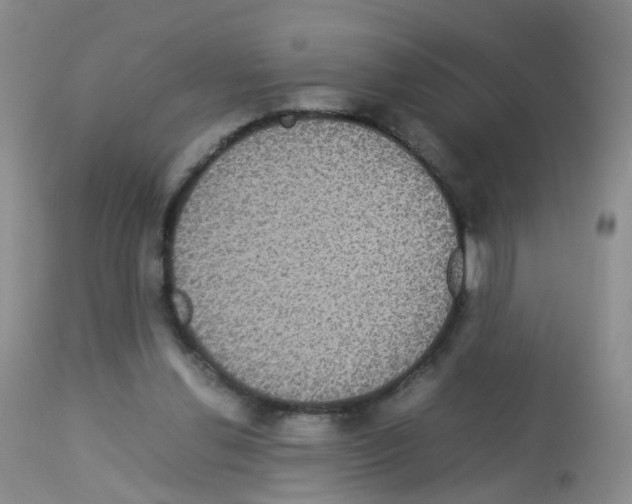 X0000113070252200910091215