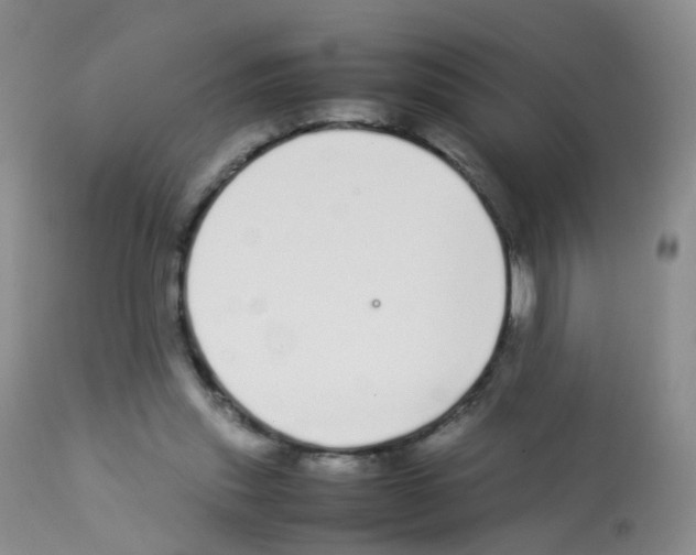 X0000113070253200910091215