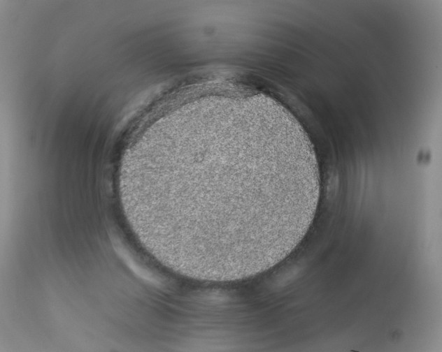 X0000113070254200910091215