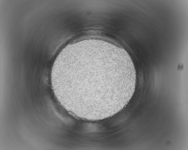 X0000113070255200910091215