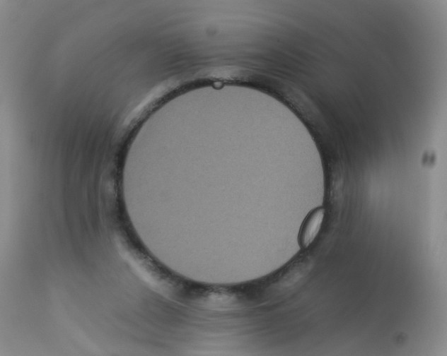 X0000113070256200910091215