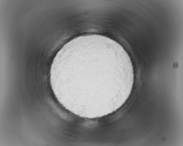 X0000113070257200910091215