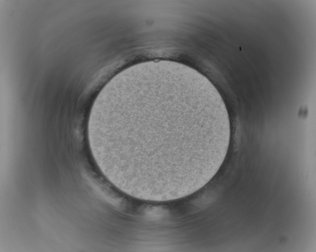X0000113070258200910091215