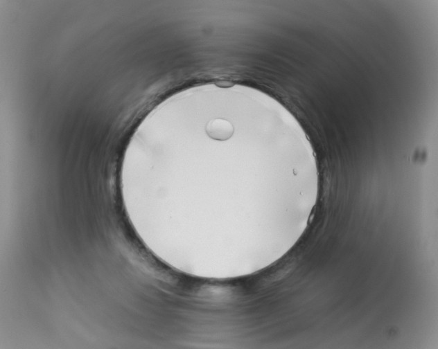X0000113070260200910091215