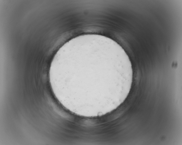 X0000113070261200910091215