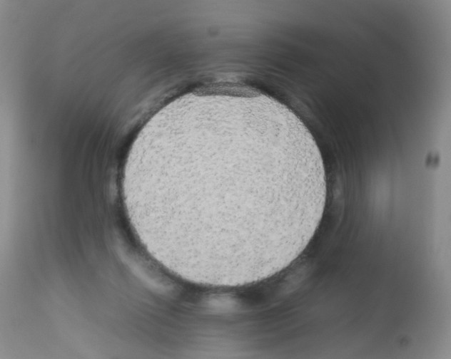 X0000113070262200910091215