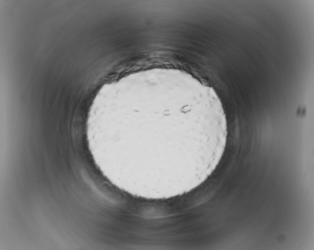 X0000113070263200910091215