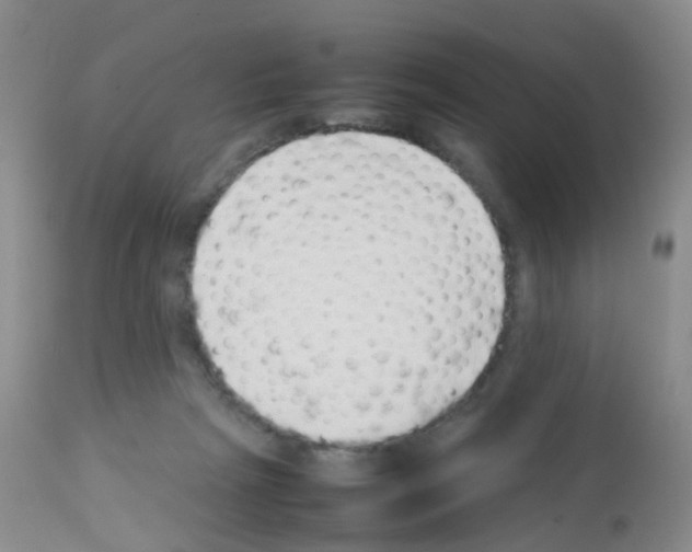 X0000113070265200910091215