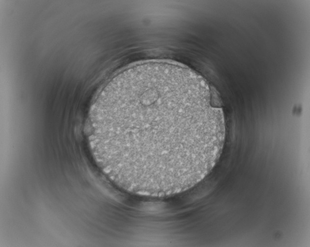 X0000113070266200910091215