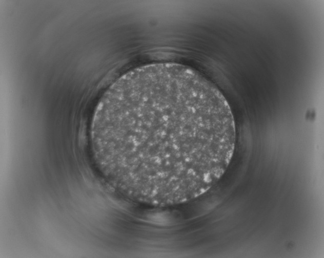 X0000113070267200910091215