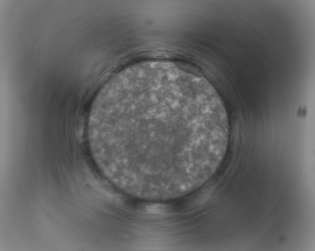X0000113070268200910091215