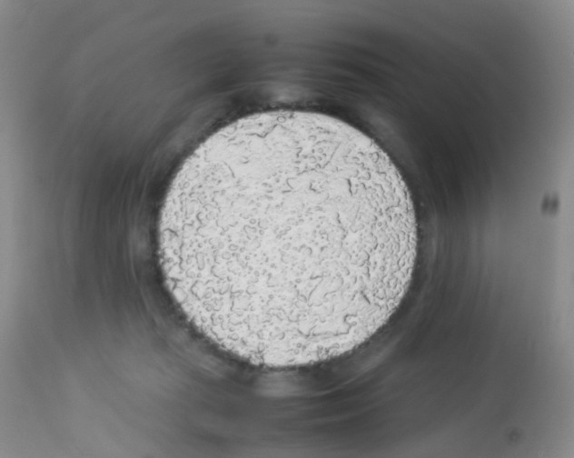X0000113070269200910091215