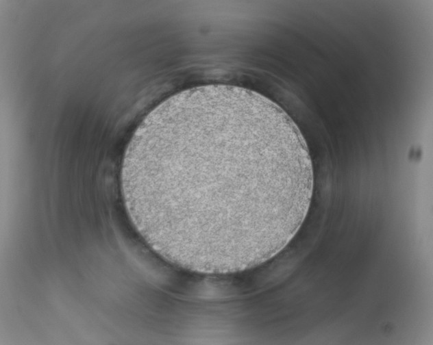 X0000113070270200910091215