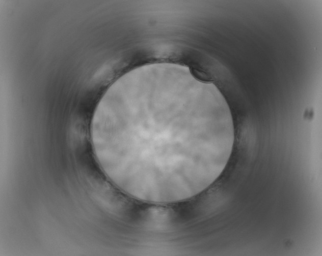 X0000113070272200910091215