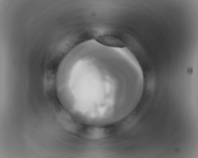 X0000113070276200910091215