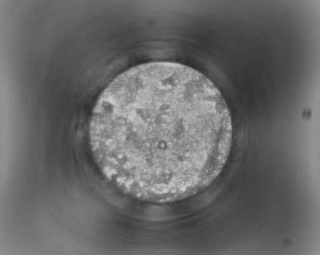 X0000113070277200910091215