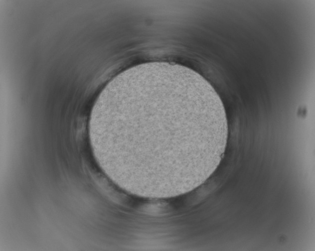 X0000113070278200910091215