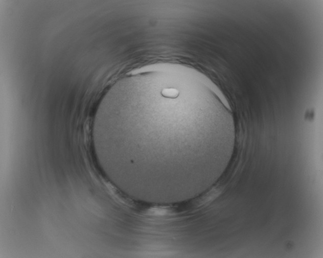 X0000113070280200910091215
