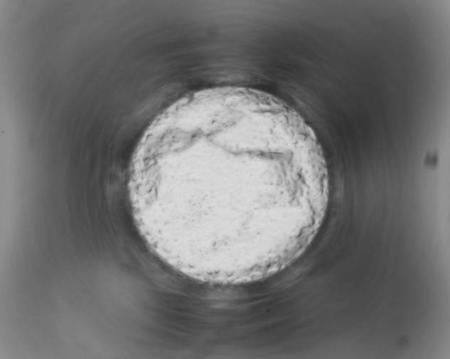 X0000113070281200910091215