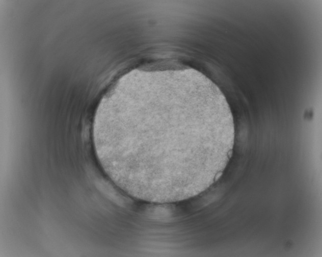 X0000113070282200910091215