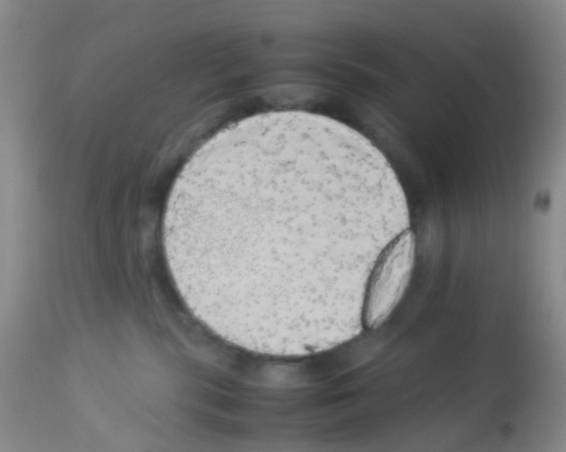 X0000113070283200910091215