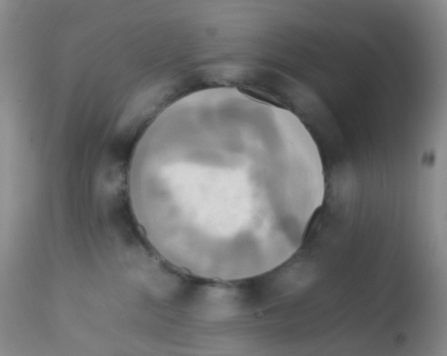 X0000113070284200910091215