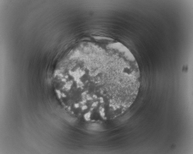 X0000113070285200910091215