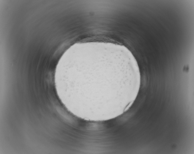 X0000113070286200910091215