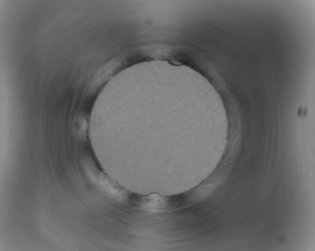 X0000113070288200910091215