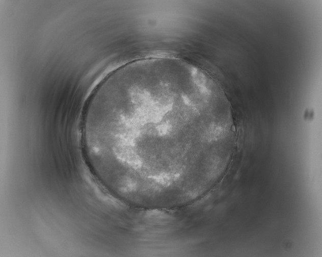 X0000113070290200910091214