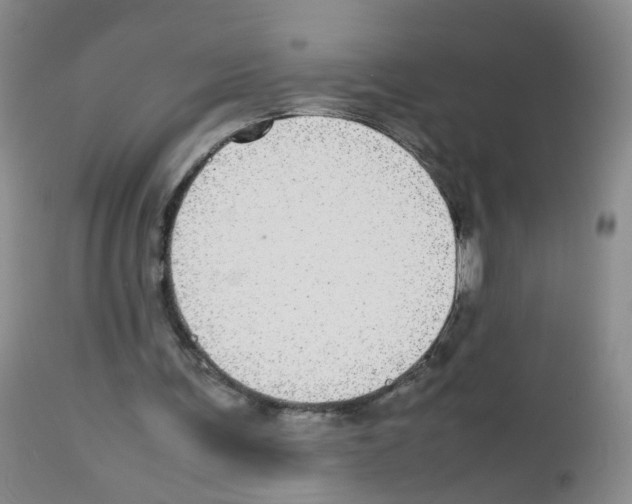X0000113070291200910091214