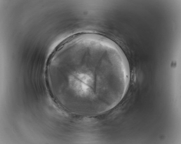 X0000113070292200910091214