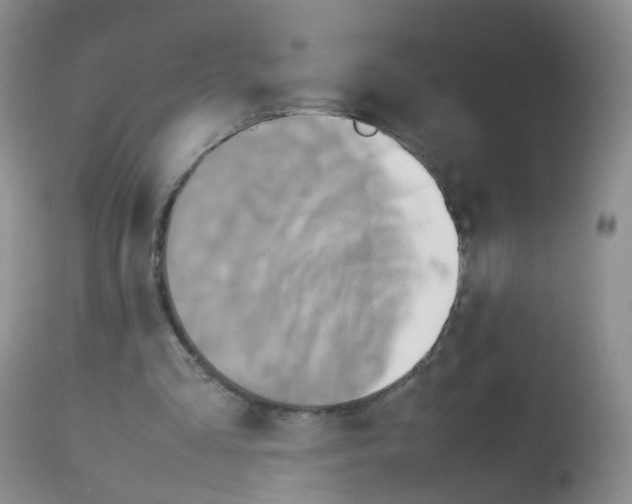 X0000113070293200910091214