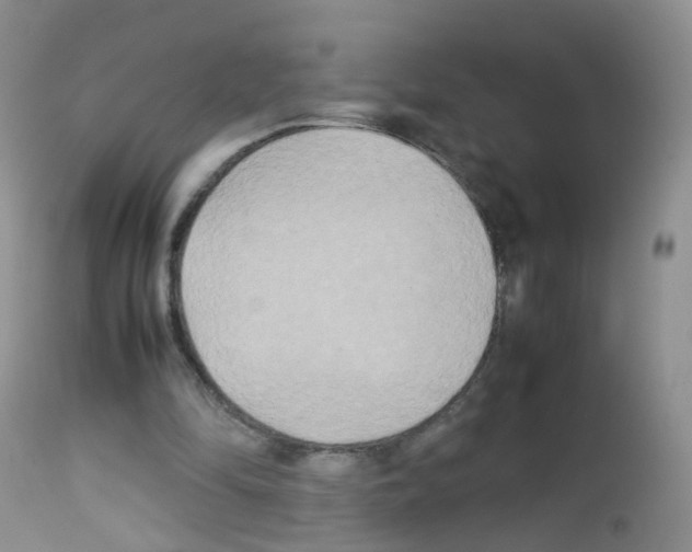 X0000113070294200910091214