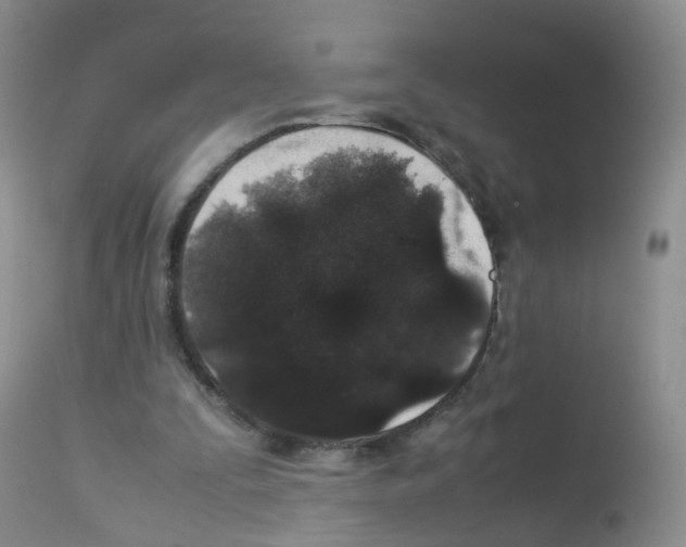 X0000113070295200910091214