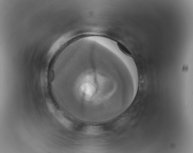 X0000113070296200910091214