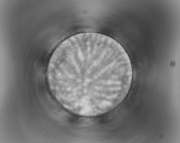 X0000113070297200910091214