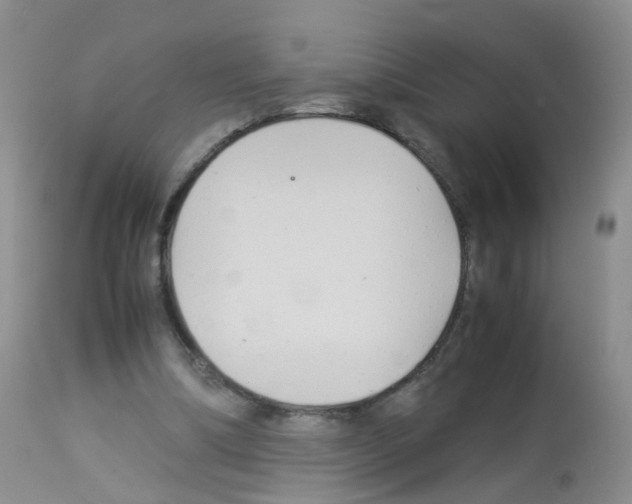 X0000113070298200910091214