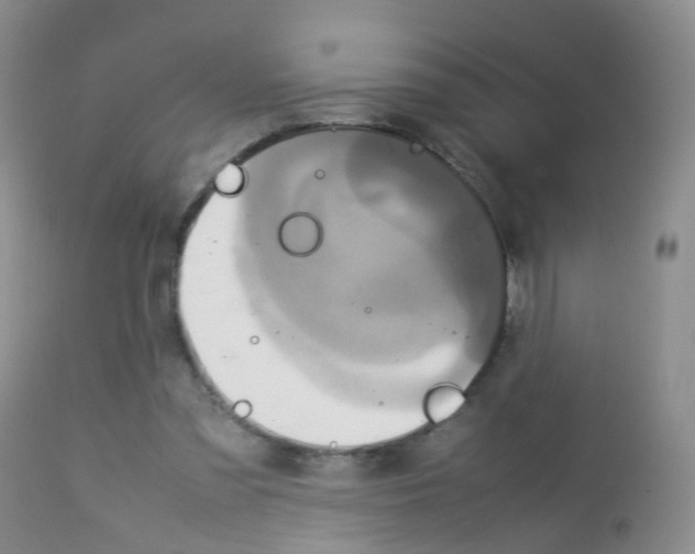 X0000113070301200910091214