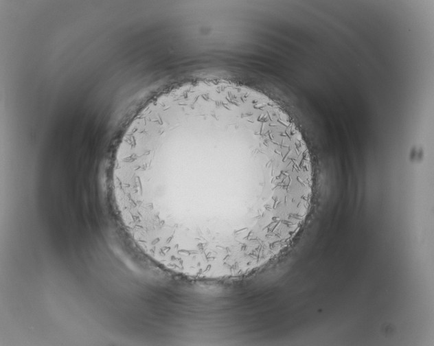 X0000113070302200910091214