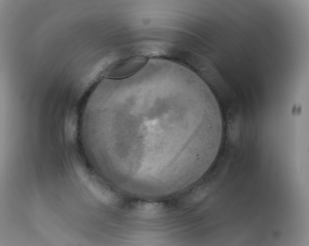 X0000113070304200910091214