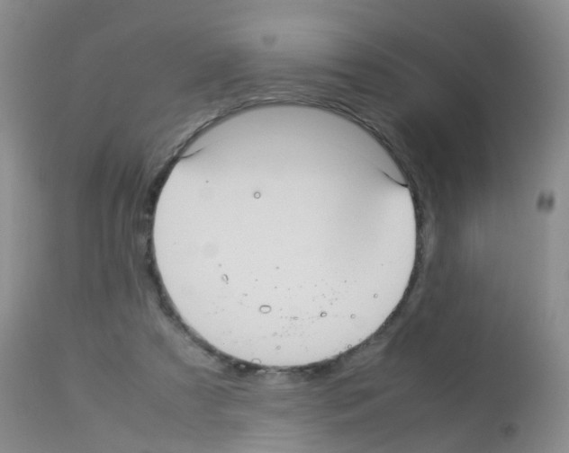 X0000113070305200910091214