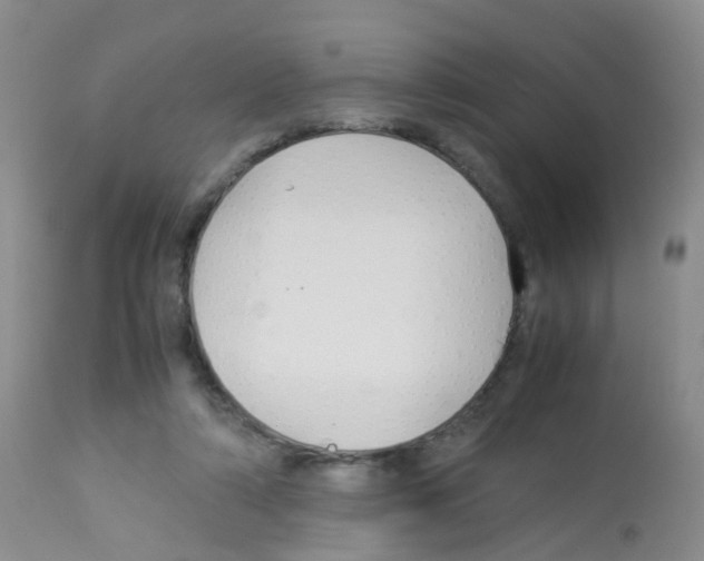 X0000113070306200910091214