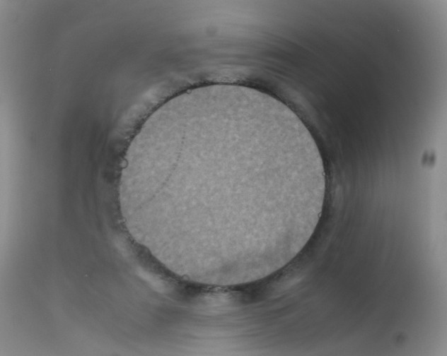X0000113070307200910091214