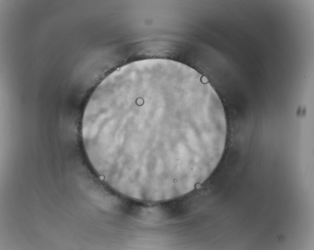 X0000113070309200910091214