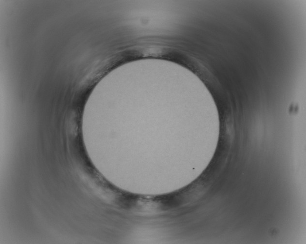 X0000113070311200910091214