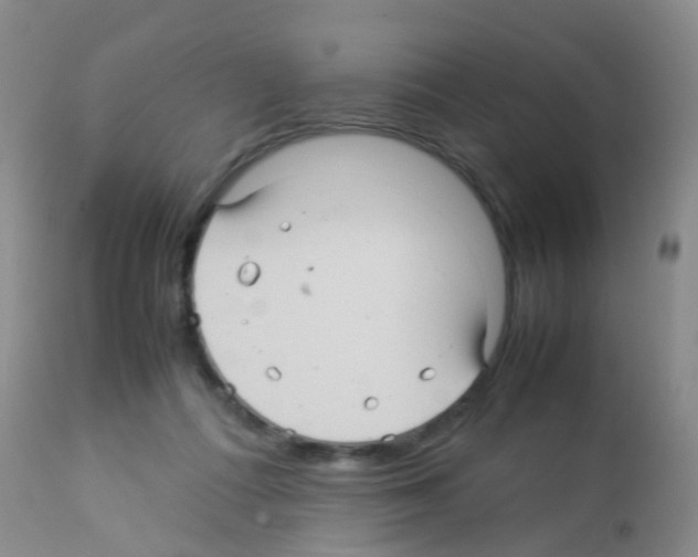 X0000113070312200910091214