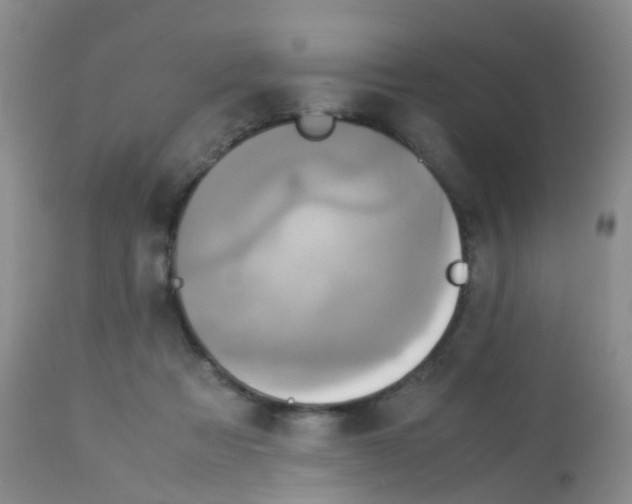 X0000113070313200910091214
