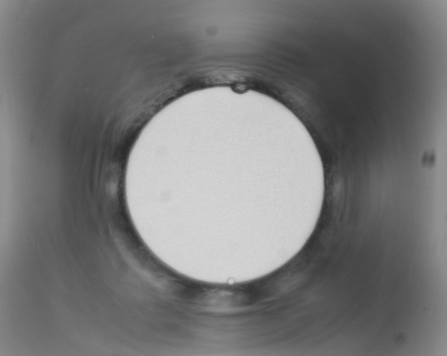 X0000113070315200910091214